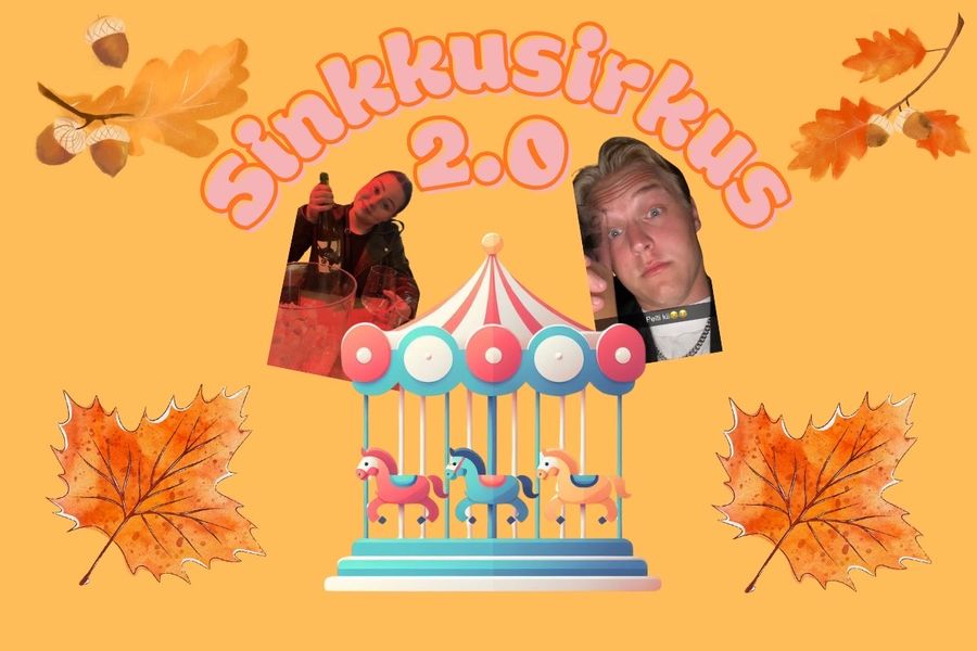 Sinkkusirkus 2.0